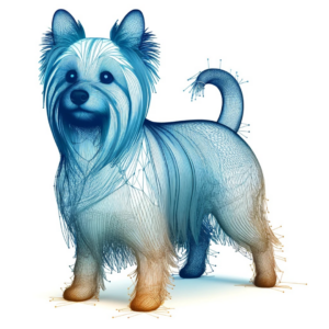 Australian Silky Terrier