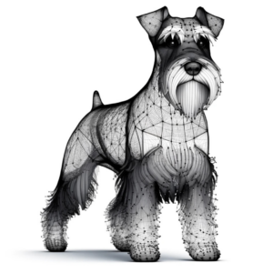 Dværgschnauzer