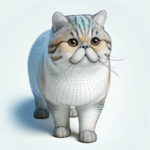 Exotic Shorthair