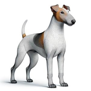 Fox Terrier