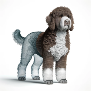 Lagotto Romagnolo 
