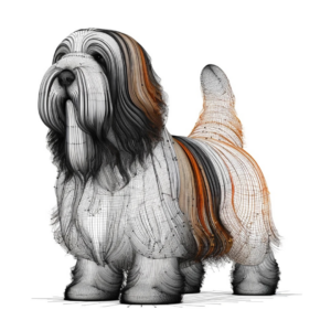 Petit Basset Griffon Vendéen