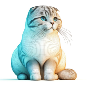 Scottish Fold