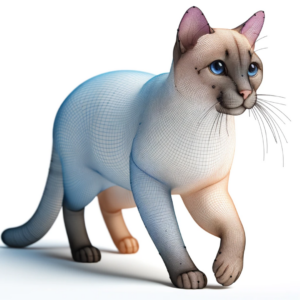 Colorpoint Shorthair