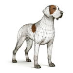 Gammel Dansk Hønsehund