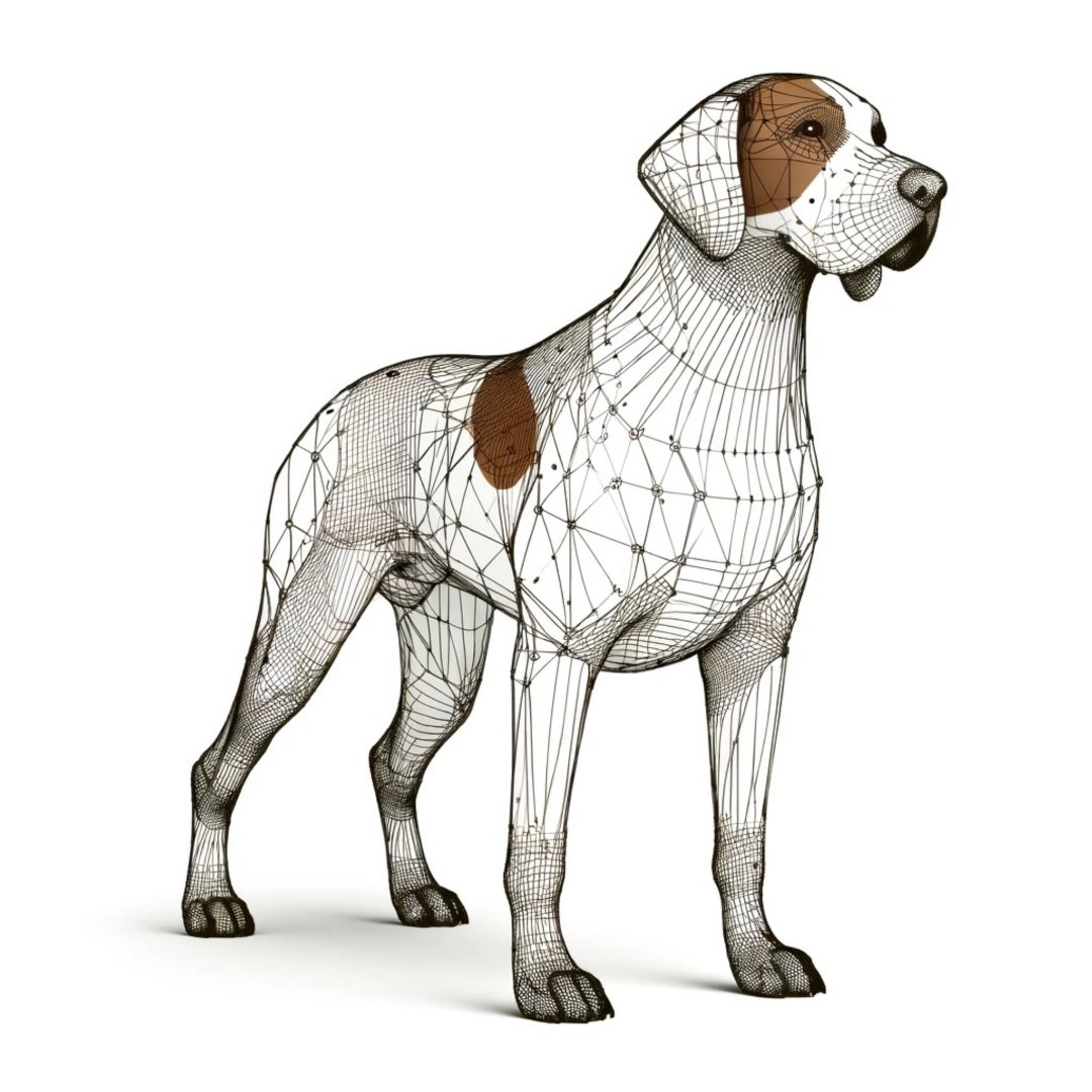 Gammel Dansk Hønsehund