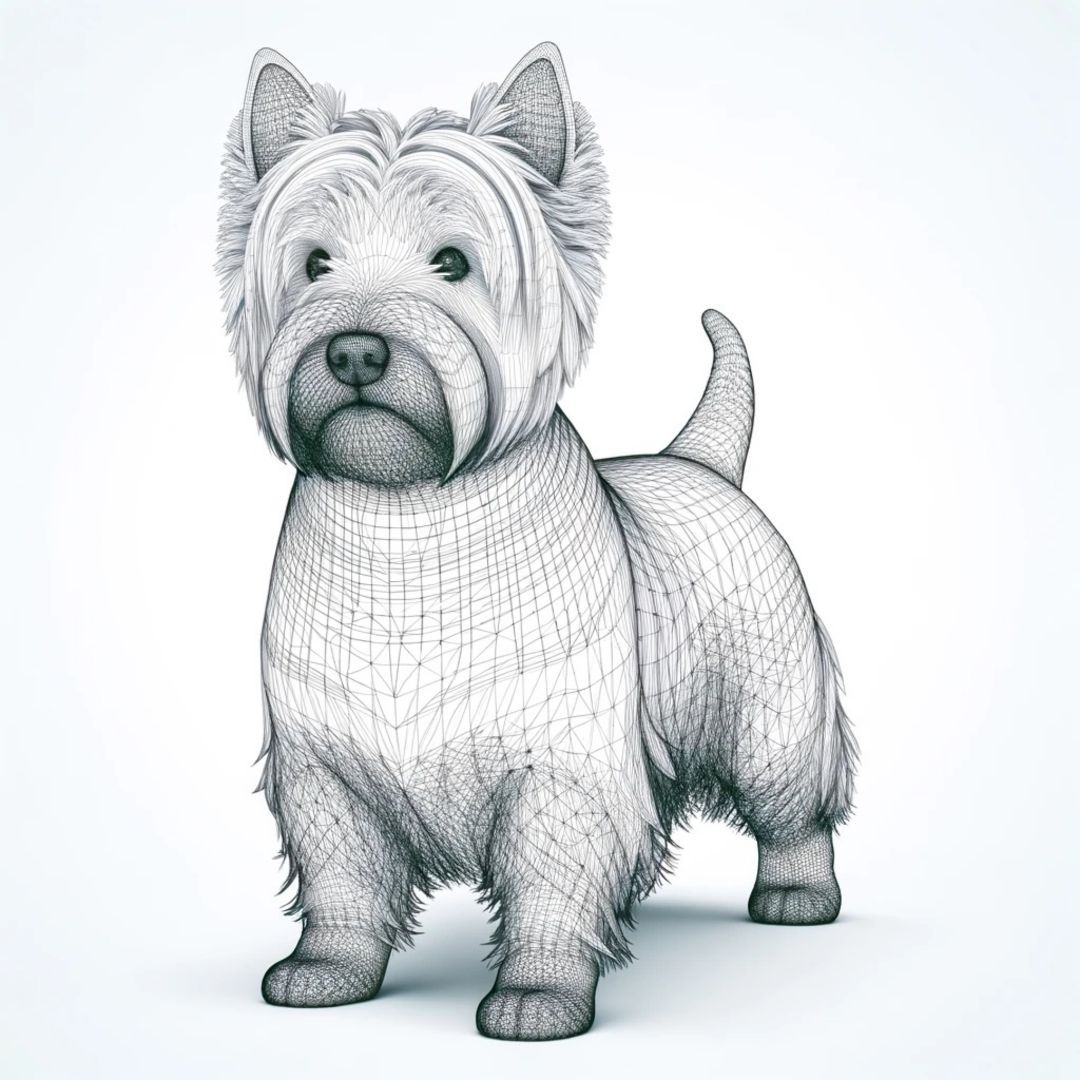 West Highland White Terrier
