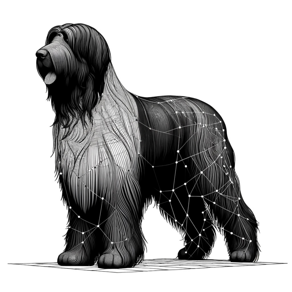 Briard